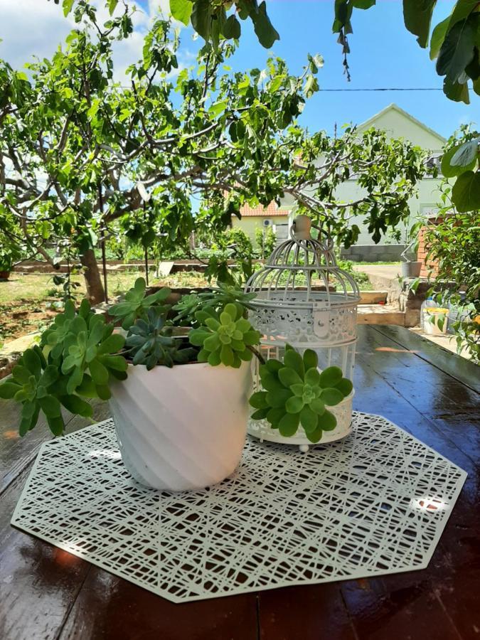 Apartman Nozret